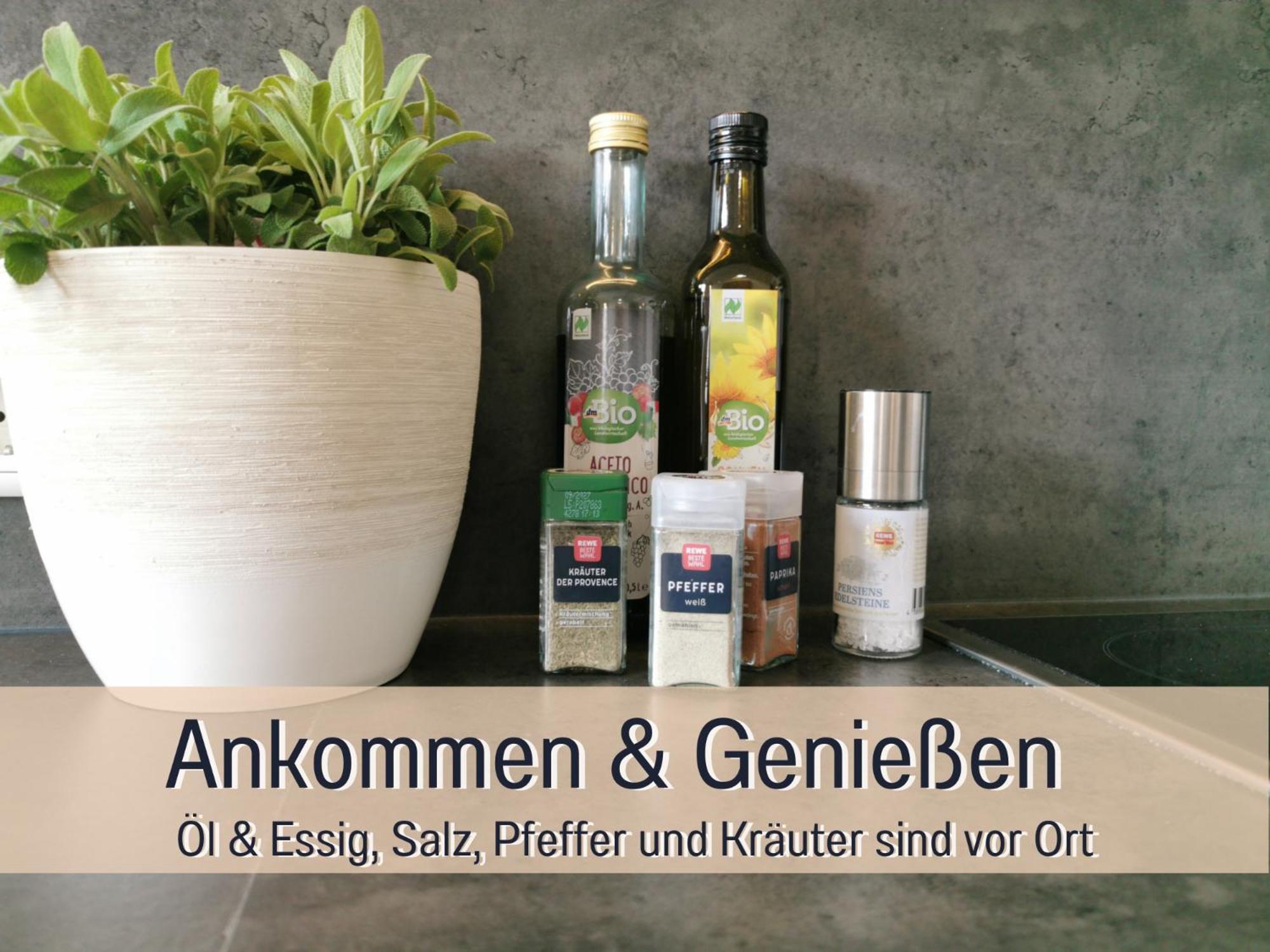 Horizon 1 - Playmobil Funpark Und Messe Nuernberg Mit Parkplatz 4pers 24h Self Checkin Apartment