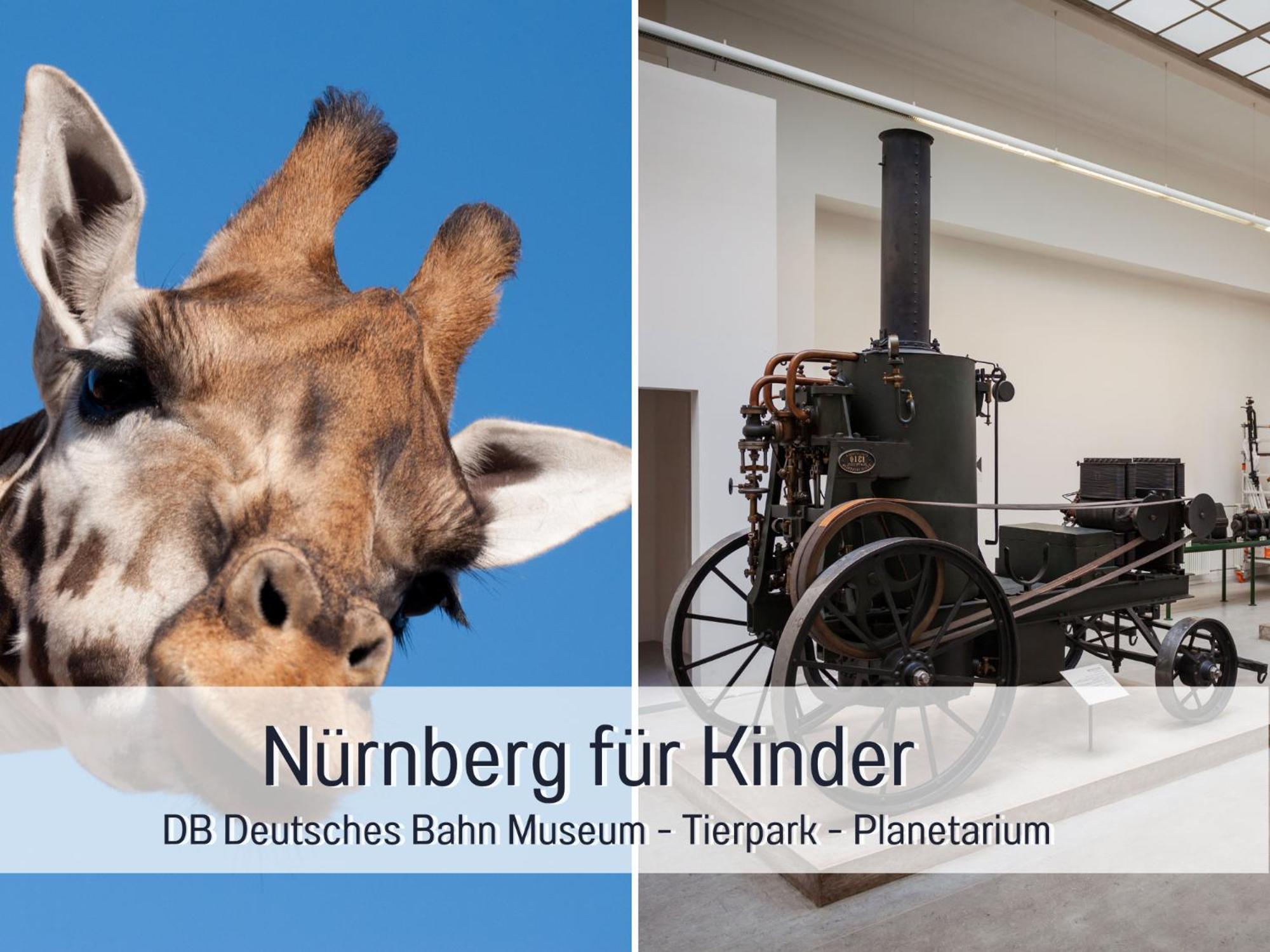 Horizon 1 - Playmobil Funpark Und Messe Nuernberg Mit Parkplatz 4pers 24h Self Checkin *