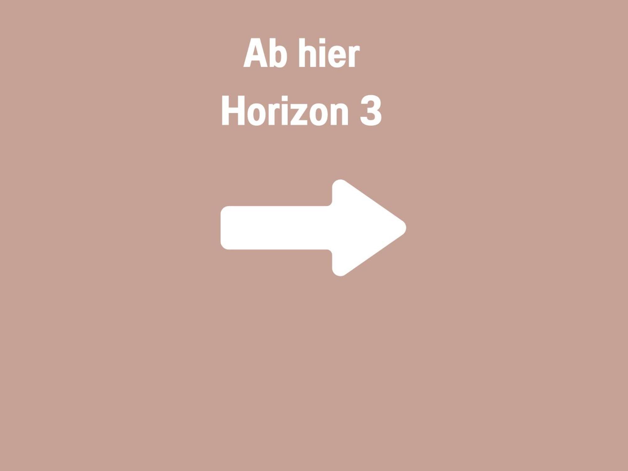Horizon 1 - Playmobil Funpark Und Messe Nuernberg Mit Parkplatz 4pers 24h Self Checkin *